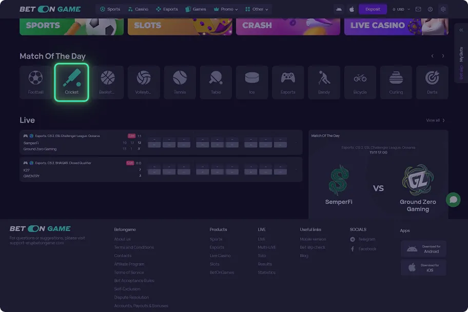 How to Place a System Bet step 1